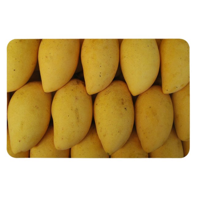Ímã Mango (Horizontal)