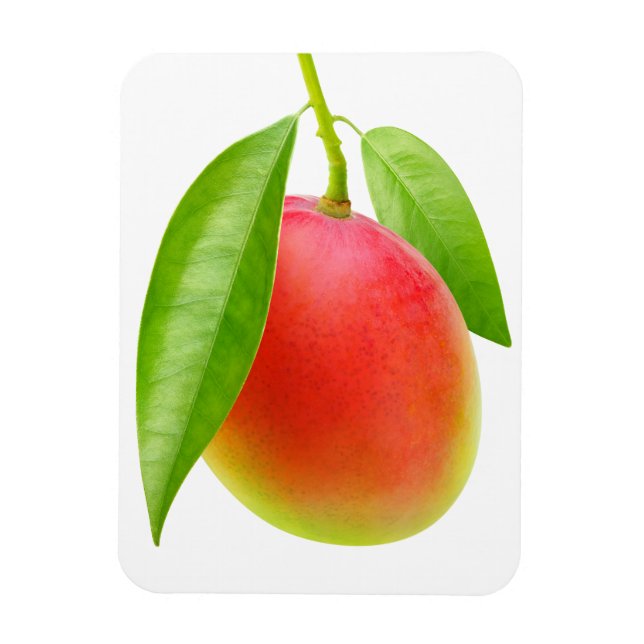 Ímã Mango (Vertical)