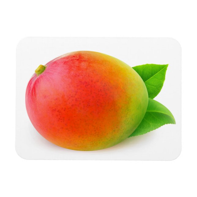 Ímã Mango (Horizontal)