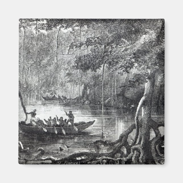Imã Mangrove Forest'' (Frente)