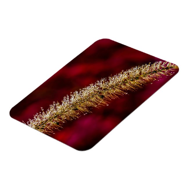 Ímã Manhã (Left Side)