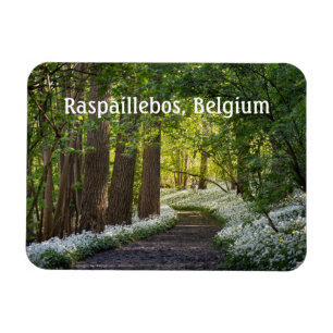 Ímã Manhã de primavera em Raspaillebos, Bélgica