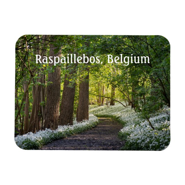Ímã Manhã de primavera em Raspaillebos, Bélgica (Horizontal)