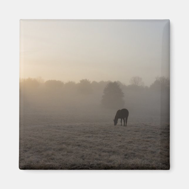 Imã Manhã do País (Frente)