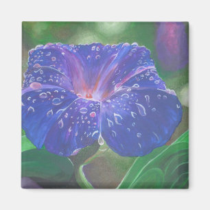Imã Manhã Glória (Ipomoea Purpurea) Petais e Dew Dr.