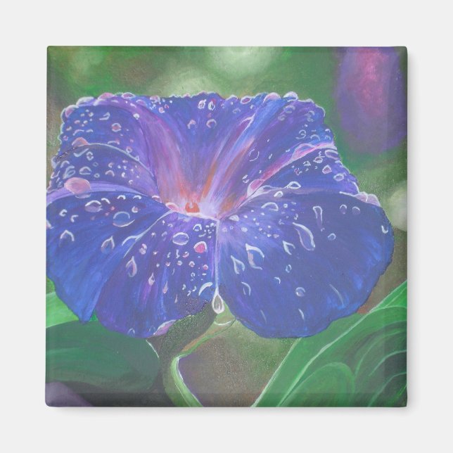 Imã Manhã Glória (Ipomoea Purpurea) Petais e Dew Dr. (Frente)
