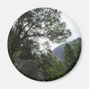 Imã Manhã na trilha para as quedas vernais em Yosemit