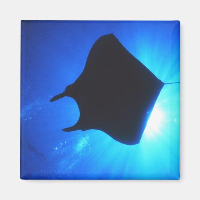 Imã Manta Ray Silhouette (Frente)