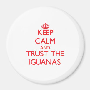 Imã Mantenha a calma e confie as iguanas