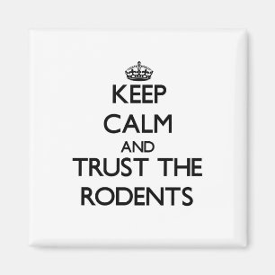 Imã Mantenha a calma e confie os roedores