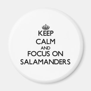 Imã Mantenha a calma e o foco em salamandras
