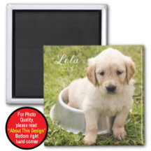 Mantenha o ímã com foto