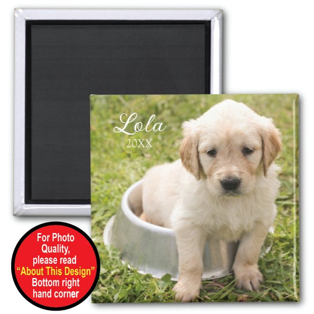 Imã Mantenha o ímã com foto (Criador carregado)