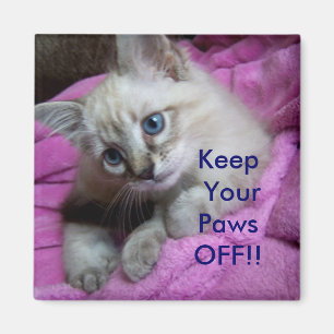 Imã Mantenha suas patas FORA!! ÍMÃ DO CACIFO