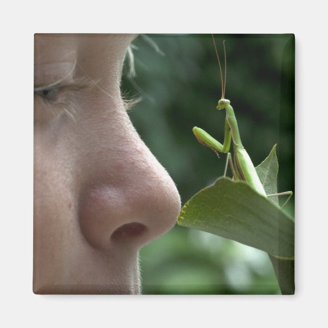 Imã Mantis religiosa (Frente)