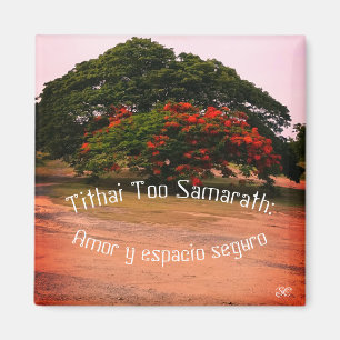 Imã Mantras