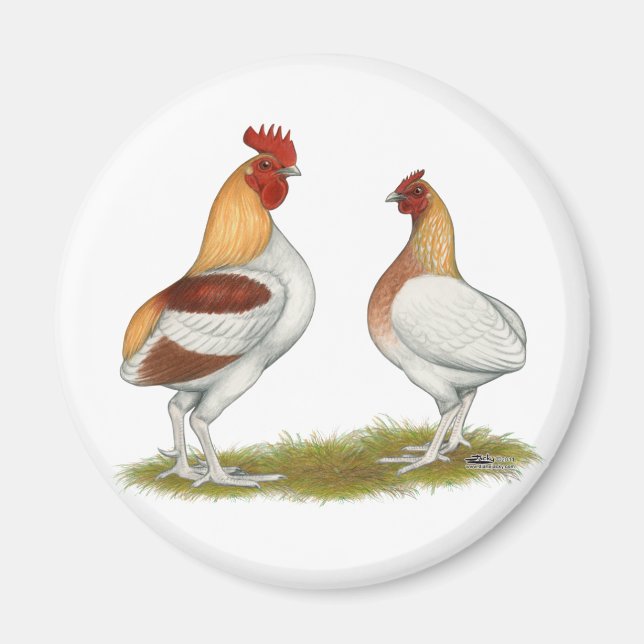 Imã Manx Rumpies (Frente)