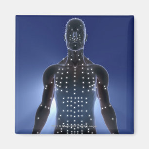 Imã Mapa claro de pontos da acupunctura