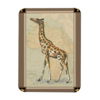 Mapa da África e uma Girafa