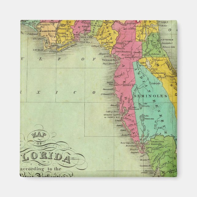 Imã Mapa da Flórida (Frente)