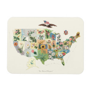 Ímã Mapa das Flores dos Estados Unidos - Nosso Buquê