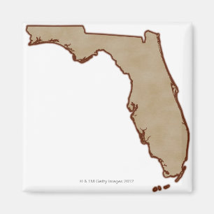 Imã Mapa de alivio de Florida