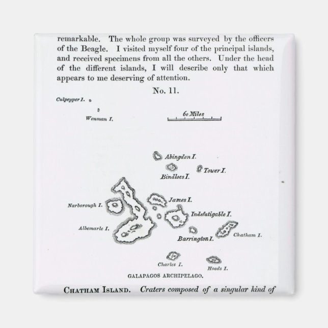 Imã Mapa do Arquipélago das Galápagos, 1844 (Frente)