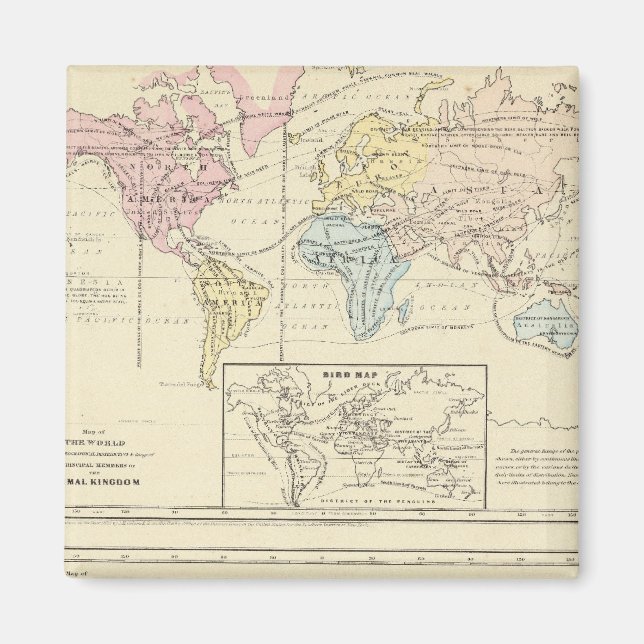 Imã Mapa em cor do Mundo (Frente)
