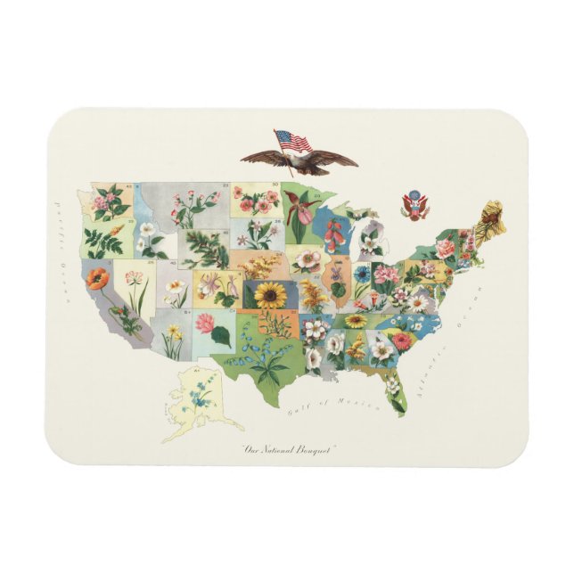 Ímã Mapa Flor dos Estados Unidos - Nosso Buquê Naciona (Horizontal)