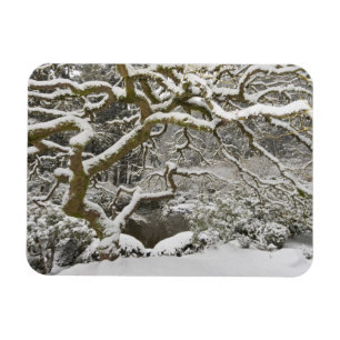 Ímã Mapa japonês coberto de neve