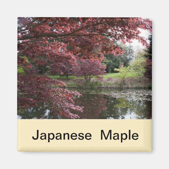 Imã Mapa japonês no Jardim Van Dusen (Frente)