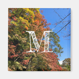 Imã Mapeamentos Coloridos Vibrantes