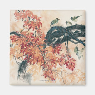 Imã Mapeamentos Vermelhos