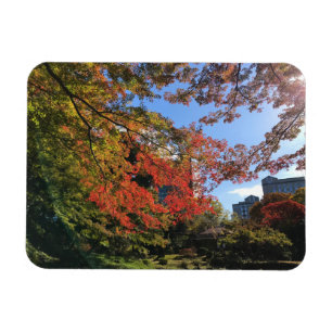 Ímã Mapeamentos Vermelhos no Jardim Japonês