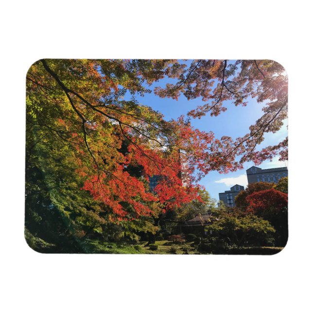 Ímã Mapeamentos Vermelhos no Jardim Japonês (Horizontal)