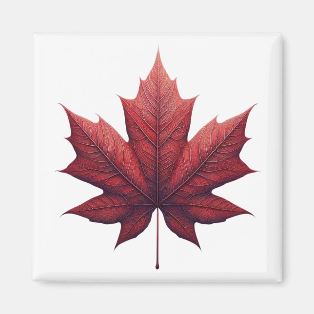 Imã Mapel Leaf (Frente)