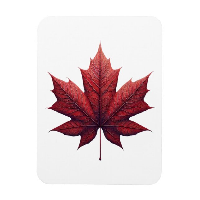 Ímã Mapel Leaf (Vertical)