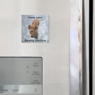 Imã Máquina de Barcos Castanhos-De-Barco