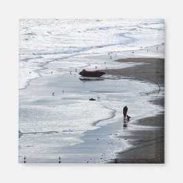 Imã Mar a caminho da costa ao anoitecer