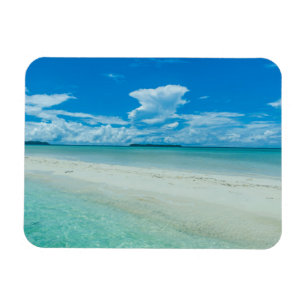 Ímã Mar azul tropical, Palau