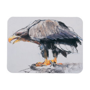 Ímã Mar Eagle atado branco 2001