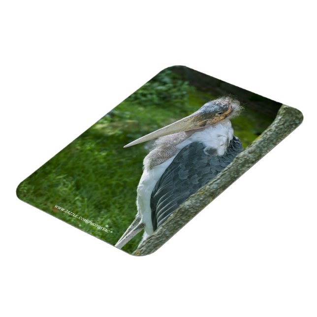 Ímã Marabou (Left Side)