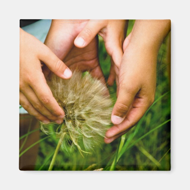 Imã Maravilha da Natureza (Frente)