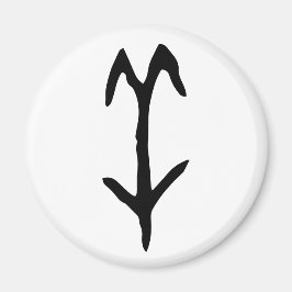 Imã Maravilhoso Chinês Zodiac-Goat-#001-