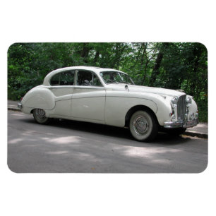 Ímã Marca Branca Jaguar IX