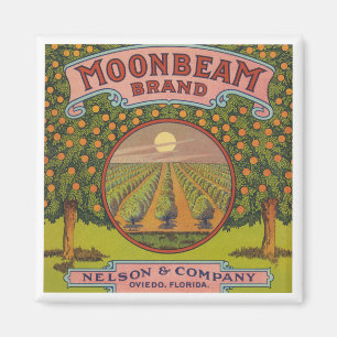 Imã Marca do feixe de luz   Rótulo de Citrus Vintage