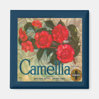 Imã Marca Magnet Vintage Camellia