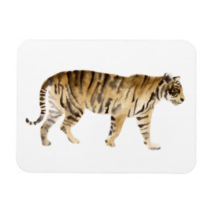 Ímã Marcha de Tigre de Aquarela