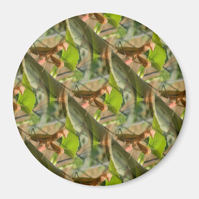 Imã Marchin 'On'... (Frente)