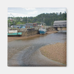 Imã Maré baixa na Baía de Fundy em St. Martins, New